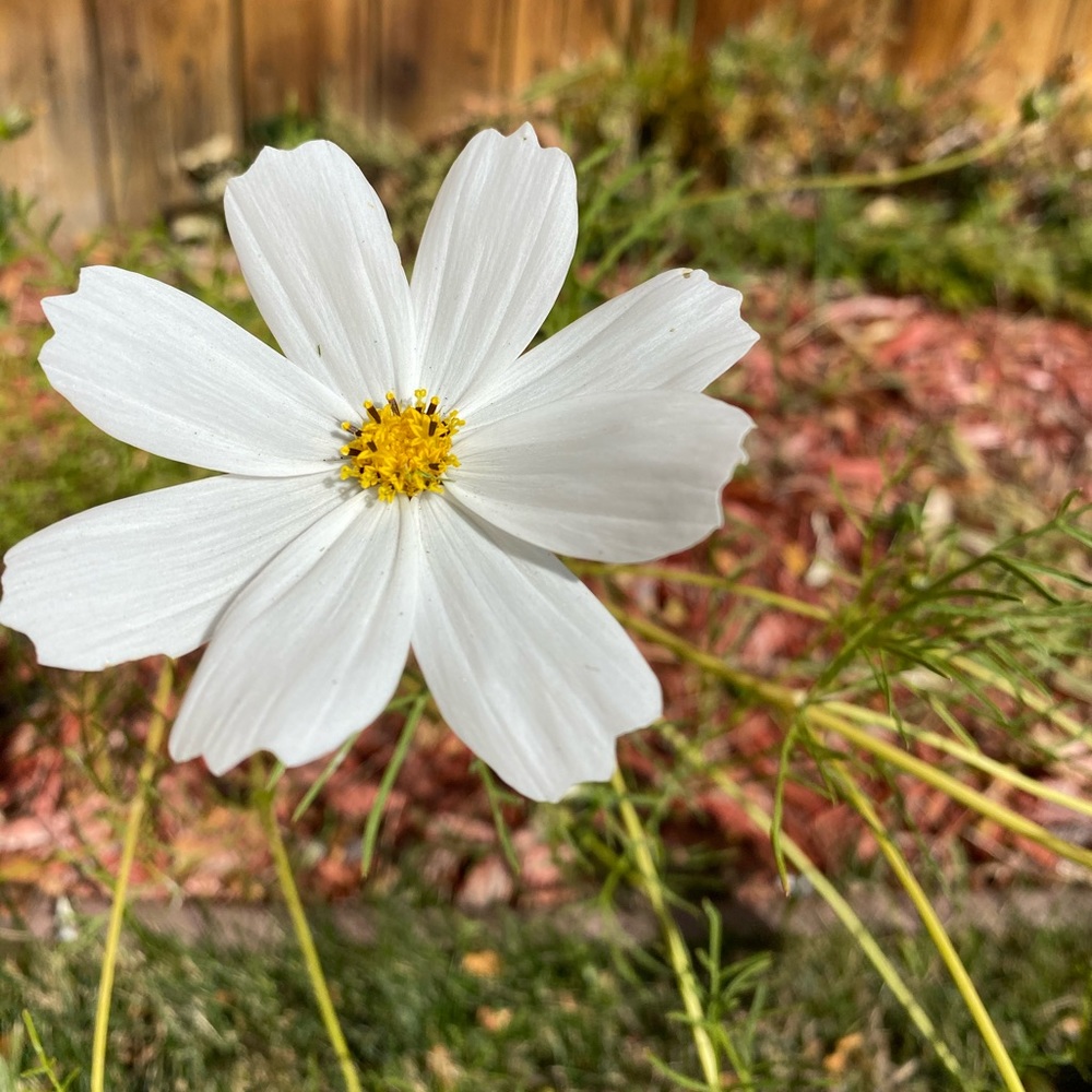 Clothing dump coming soon!!